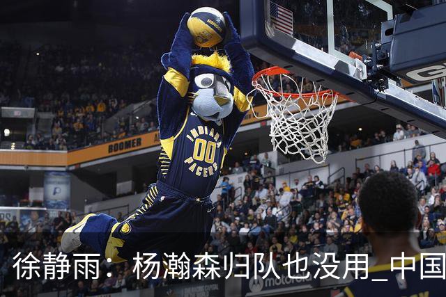 徐静雨：杨瀚森归队也没用 中国男篮跟日本已完全不是一个等级